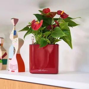 Вазон Lechuza Cube Glossy САТ 14 білий 14x14x13,5см 0,4л (13507)