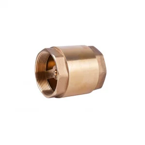 Зворотний клапан SD Plus з латунним штоком 2" (SD240W50)