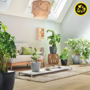 Фото вазон lechuza classico color eco 30 круглый светло-серый 28см 2л (18920)