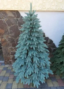 Ялинка Slipo Швейцарська лита 1,5м (Швей-150)