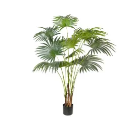 Фото искусственное растение engard fan palm 150см (dw-28)