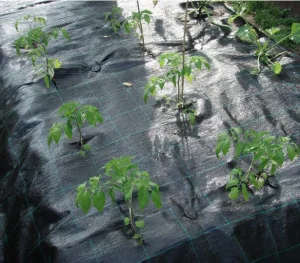 Агротканина Agrojutex 90 (рулон 1,4х100)