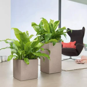 Вазон Lechuza Canto Stone High 30 світло-бежевий 30x30x56см 12л (13601)