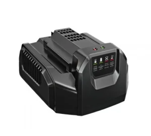 Зарядний пристрій EGO CH2100E (500014002)