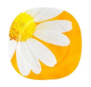 Тарілка обідня Luminarc Paquerette Melon квадратна 280мм (5972g)