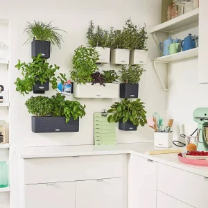Комплект вазонів Lechuza Green Wall Home Kit Color білий 48х6х14см (13398)