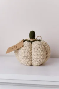 Фото интерьерное текстильное изделие прованс pumpkin крем d25см (040272)