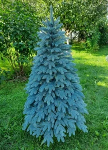 Ялинка Slipo Швейцарська лита 2,1м (Швей-210)