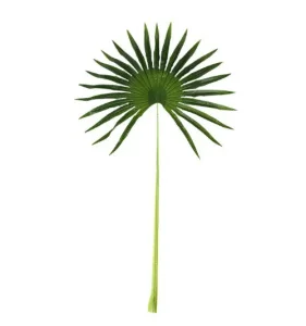 Фото искусственные листья engard fan palm 98см (dw-32)